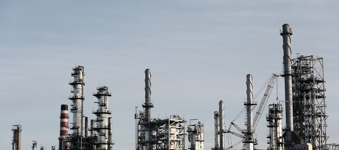 pexels-life-of-pix-2391